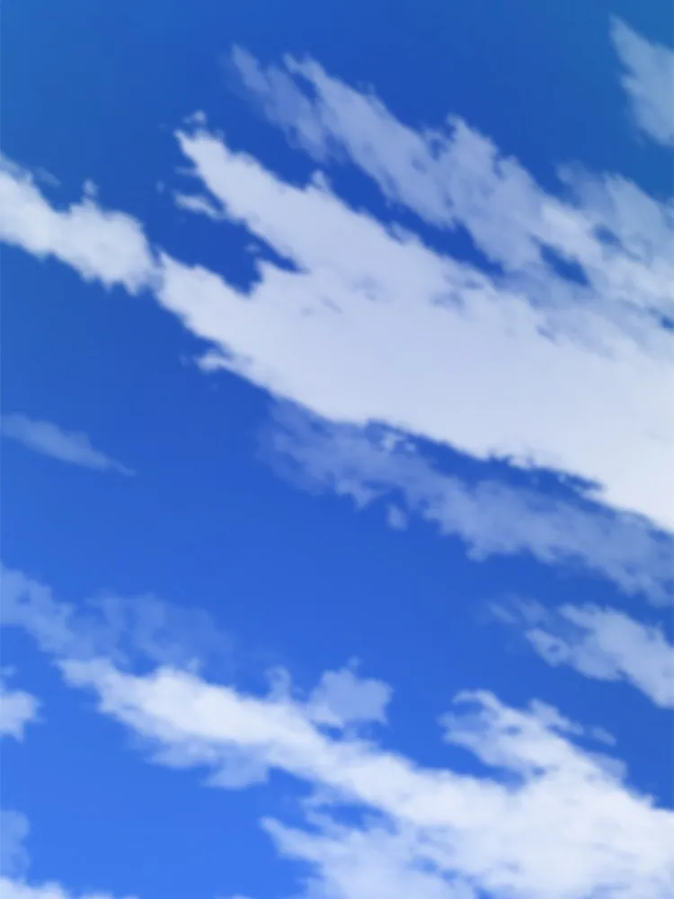 Bring the Love ตอนที่ 142 รูปที่ 14