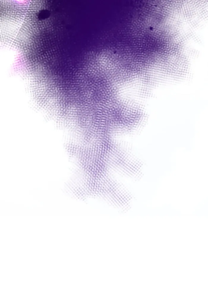 คุณหนูย้อนเวลามาเป็นอัศวิน ตอนที่ 74 รูปที่ 46