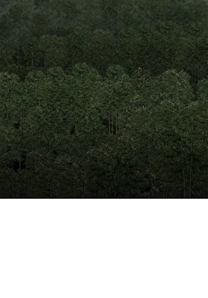 ยอดคนเลเวลทะลุ ตอนที่ 85 กลยุทธ์ได้ทั้งขึ้นทั้งล่อง รูปที่ 169