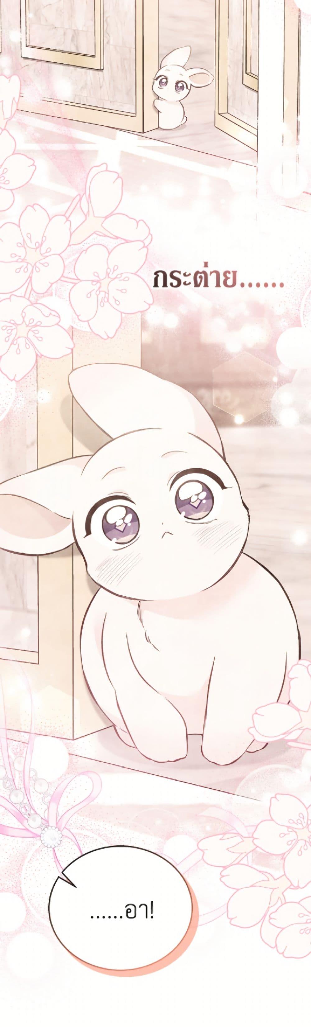 Manga-lc-com อ่านมังงะ อ่านการ์ตูน ออนไลน์ ฟรี The Symbiotic Relationship Between a Panther and a Rabbit ตอนที่ 1 2 3 4 5 6 7 8 9 10 11 12 13 14 ฟรี ไม่มีโฆษณา Manga-lc - อ่าน มังงะ อ่าน การ์ตูน ออนไลน์ อ่านมังงะ ฟรี