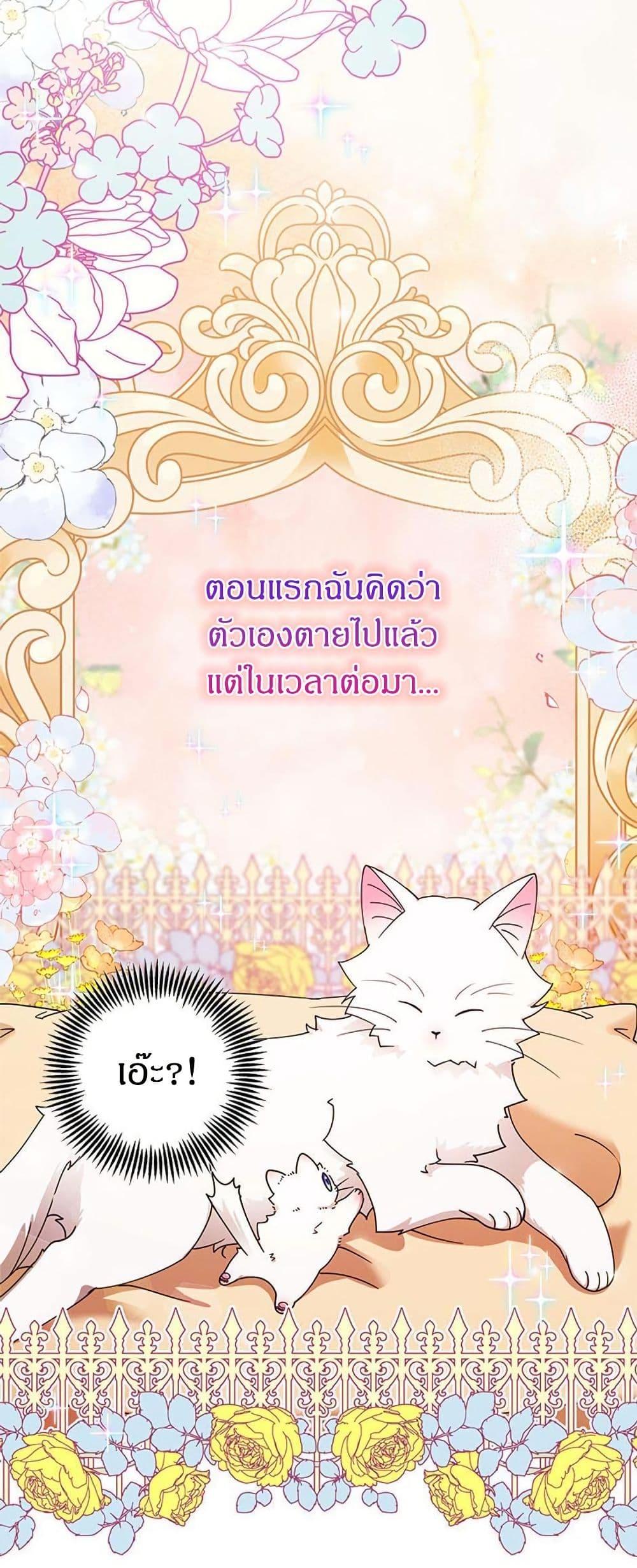 Manga-lc-com อ่านมังงะ อ่านการ์ตูน ออนไลน์ ฟรี I Became the Emperor’s Cat ตอนที่ 1 2 3 4 5 6 7 8 9 10 11 12 13 14 ฟรี ไม่มีโฆษณา Manga-lc - อ่าน มังงะ อ่าน การ์ตูน ออนไลน์ อ่านมังงะ ฟรี