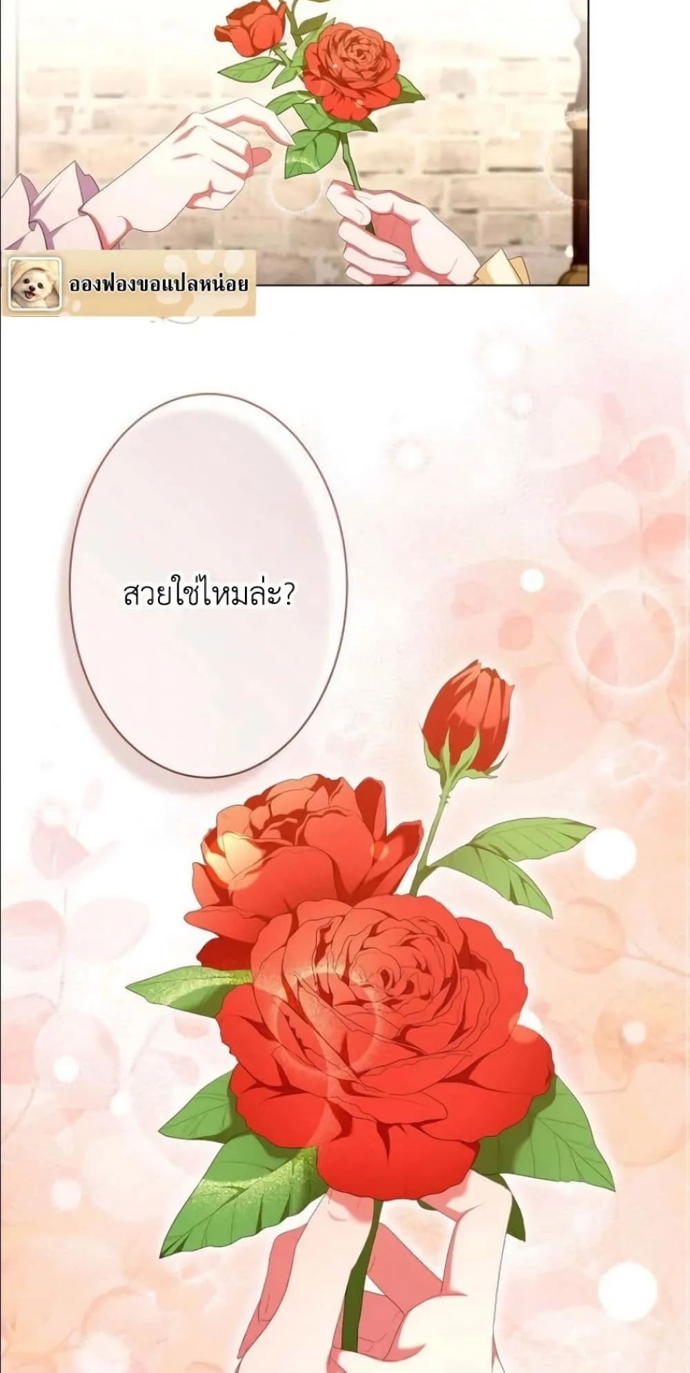 Manga-lc-com อ่านมังงะ อ่านการ์ตูน ออนไลน์ ฟรี Behold The Perfect Villainess ตอนที่ 1 2 3 4 5 6 7 8 9 10 11 12 13 14 ฟรี ไม่มีโฆษณา Manga-lc - อ่าน มังงะ อ่าน การ์ตูน ออนไลน์ อ่านมังงะ ฟรี