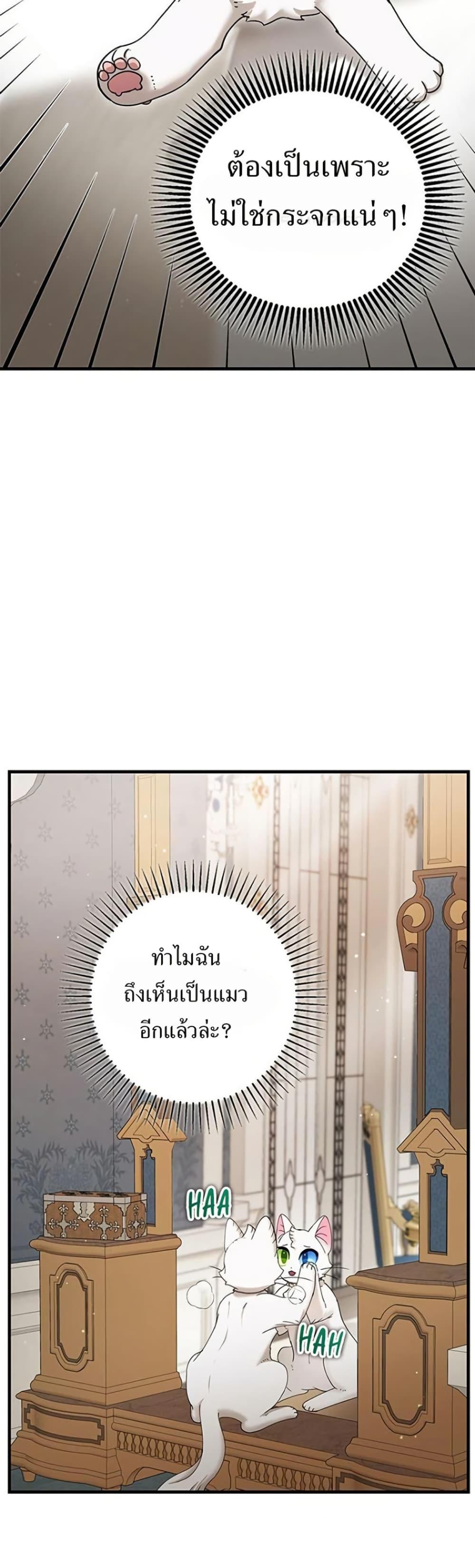 Manga-lc-com อ่านมังงะ อ่านการ์ตูน ออนไลน์ ฟรี I Became the Emperor’s Cat ตอนที่ 1 2 3 4 5 6 7 8 9 10 11 12 13 14 ฟรี ไม่มีโฆษณา Manga-lc - อ่าน มังงะ อ่าน การ์ตูน ออนไลน์ อ่านมังงะ ฟรี
